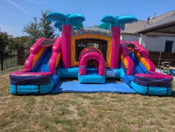 Twin Tropics Dual Combo (Wer/Dry)