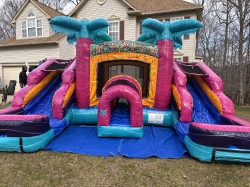 Twin Tropics Dual Combo (Wer/Dry) IMG 7175 1768157571 Twin Tropics Dual Combo (Wer/Dry)